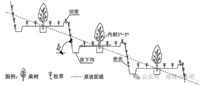 2027届高考地理一轮复习精讲精练第十四章资源、环境与区域发展第32讲 生态脆弱区的综合治理-第26张图片-四季读书网