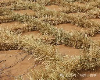 2027届高考地理一轮复习精讲精练第十四章资源、环境与区域发展第32讲 生态脆弱区的综合治理-第35张图片-四季读书网