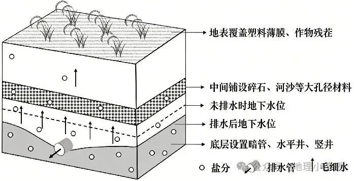 2027届高考地理一轮复习精讲精练第十四章资源、环境与区域发展第32讲 生态脆弱区的综合治理-第57张图片-四季读书网