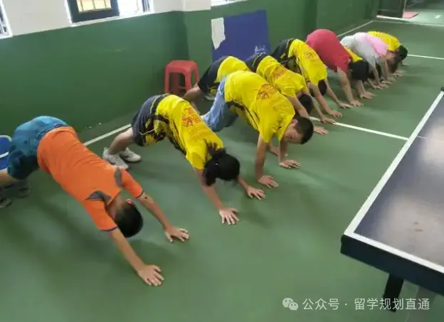 体育升学|中考稳拿分、高考拓路径,科学规划才是硬道理!!-第11张图片-四季读书网 体育升学|中考稳拿分、高考拓路径,科学规划才是硬道理!!-第11张图片-四季读书网
