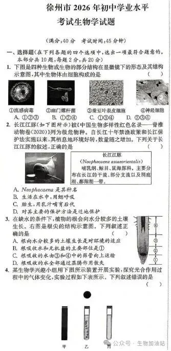 中考原始版卷:2026年徐州市初中学业水平考试生物试卷|原版试卷+答案-第2张图片-四季读书网 中考原始版卷:2026年徐州市初中学业水平考试生物试卷|原版试卷+答案-第2张图片-四季读书网