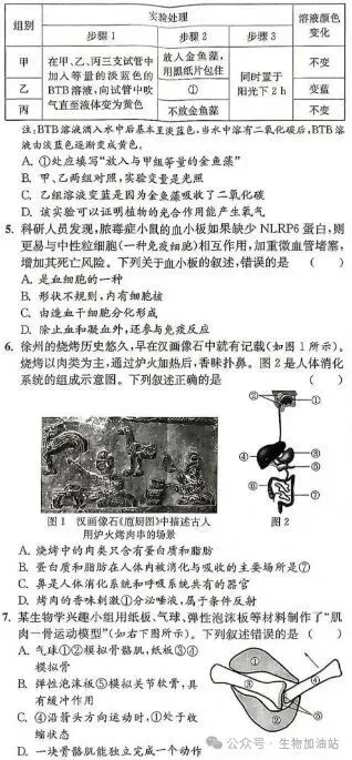 中考原始版卷:2026年徐州市初中学业水平考试生物试卷|原版试卷+答案-第3张图片-四季读书网 中考原始版卷:2026年徐州市初中学业水平考试生物试卷|原版试卷+答案-第3张图片-四季读书网