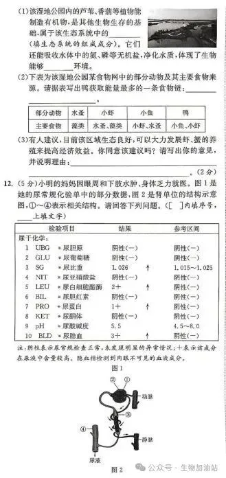 中考原始版卷:2026年徐州市初中学业水平考试生物试卷|原版试卷+答案-第5张图片-四季读书网 中考原始版卷:2026年徐州市初中学业水平考试生物试卷|原版试卷+答案-第5张图片-四季读书网