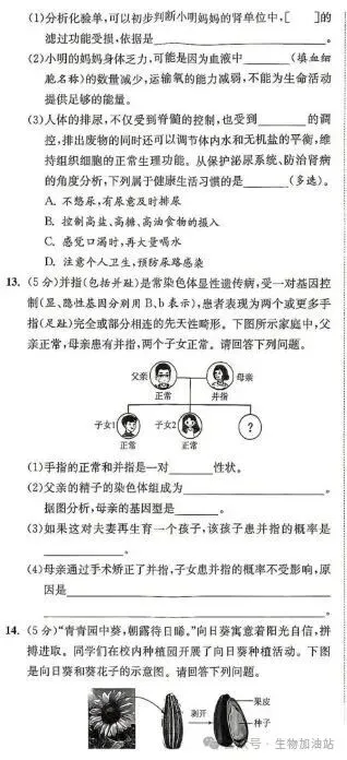 中考原始版卷:2026年徐州市初中学业水平考试生物试卷|原版试卷+答案-第6张图片-四季读书网 中考原始版卷:2026年徐州市初中学业水平考试生物试卷|原版试卷+答案-第6张图片-四季读书网