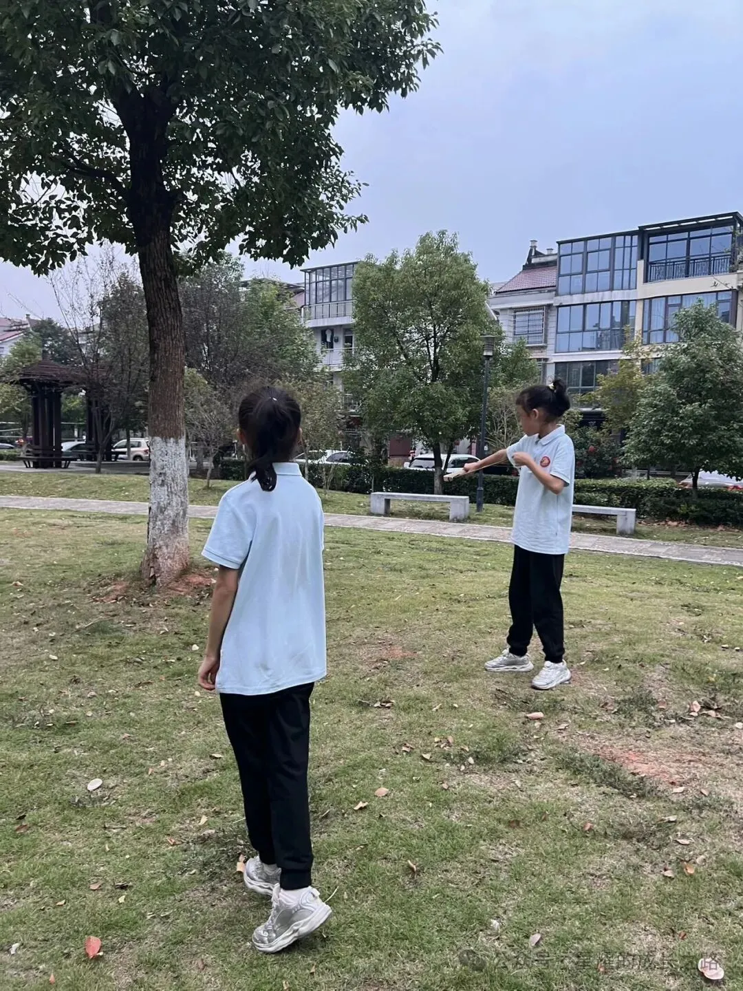 初二了臼齿还在长,我突然意识到一件被很多家长忽略的事-第1张图片-四季读书网