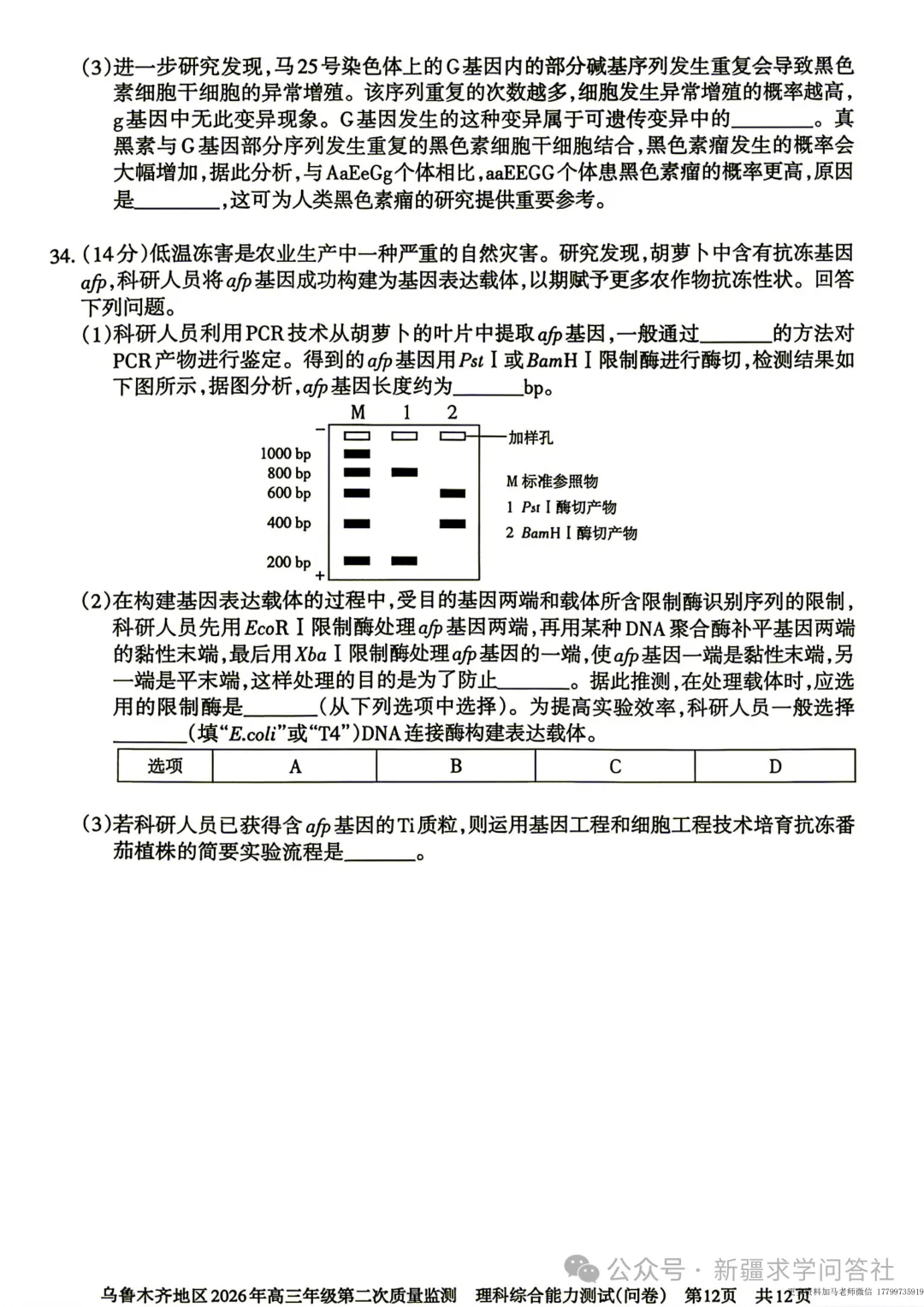 【高三】理综试卷 新疆乌鲁木齐地区2026年高三第二次质量监测(含答案)-第12张图片-四季读书网