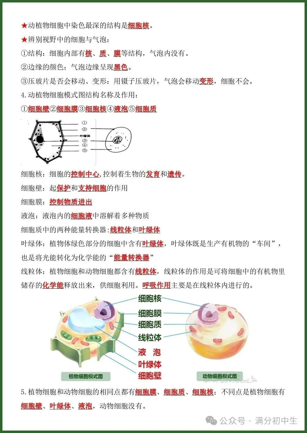 初一新版七上生物期中考前押题清单电子打印版!(2026 新课标)-第5张图片-四季读书网 初一新版七上生物期中考前押题清单电子打印版!(2026 新课标)-第5张图片-四季读书网