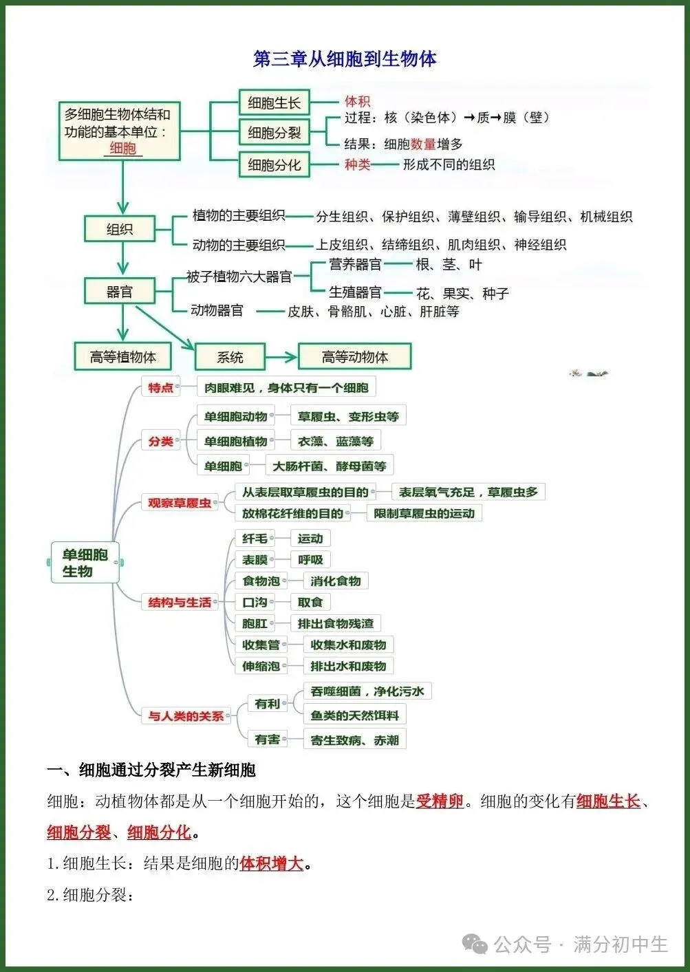 初一新版七上生物期中考前押题清单电子打印版!(2026 新课标)-第7张图片-四季读书网 初一新版七上生物期中考前押题清单电子打印版!(2026 新课标)-第7张图片-四季读书网