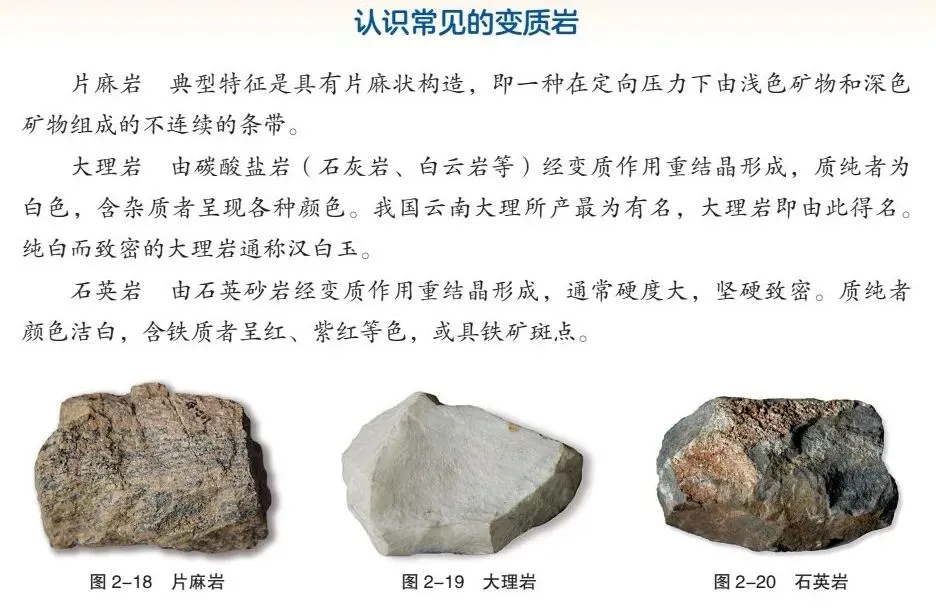2024级高考一轮复习索引|课时35 岩石圈的物质循环-第5张图片-四季读书网