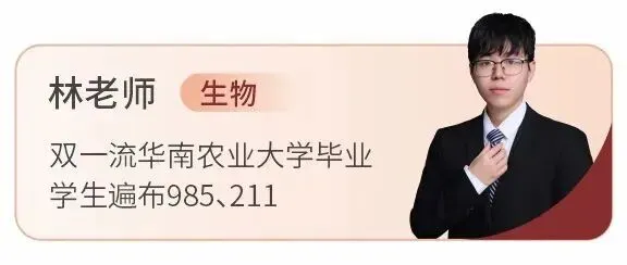 嘉祥九思2027届高考复读班正式启动,少量插班名额同步开放-第37张图片-四季读书网