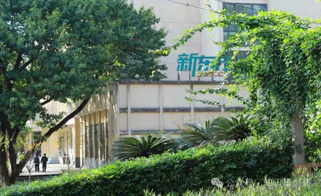 重庆中考备考集训新选择:新东方初中全日制辅导,分层教学闭环提分-第1张图片-四季读书网