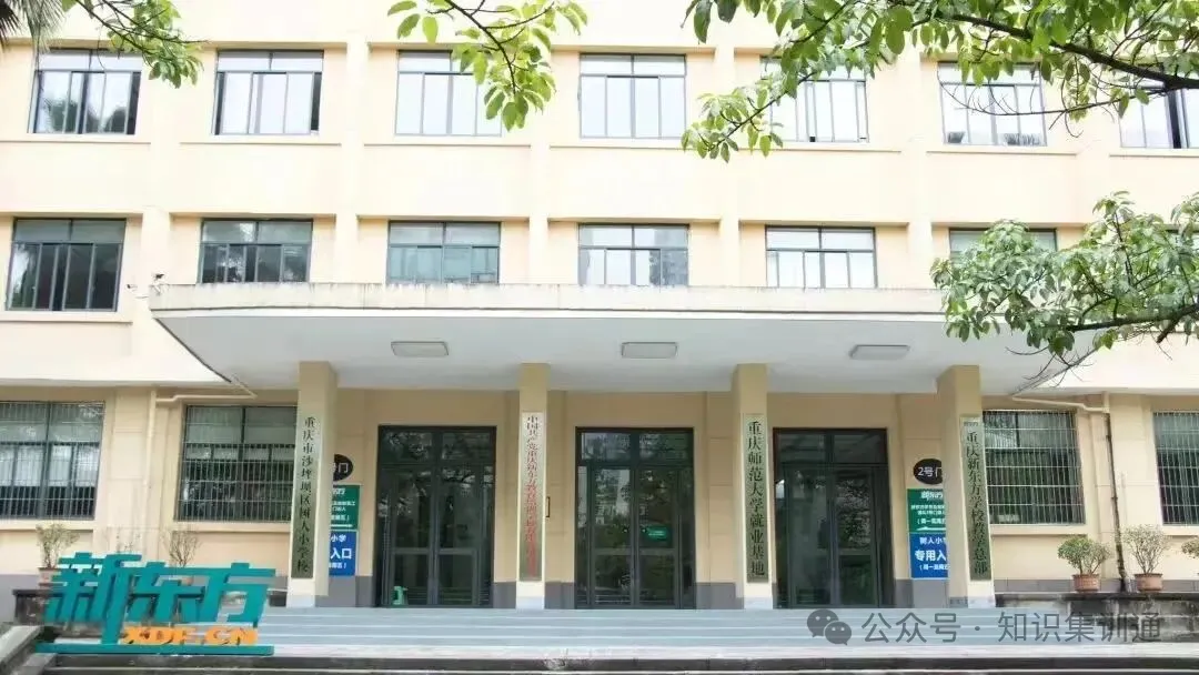 重庆中考备考集训新选择:新东方初中全日制辅导,分层教学闭环提分-第2张图片-四季读书网