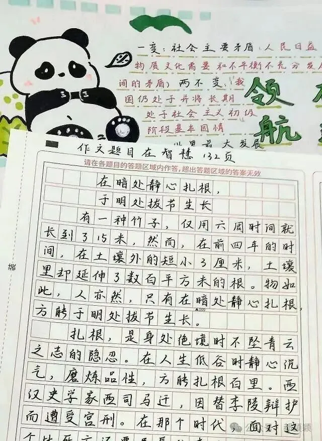 初三解压图鉴:在题海里,我画出了一个专属的绿色“熊猫宇宙”-第7张图片-四季读书网