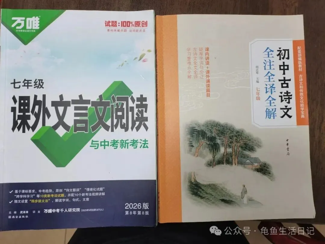 初一家长群焦虑预警,还好小升初的暑假预制了---语文篇-第1张图片-四季读书网