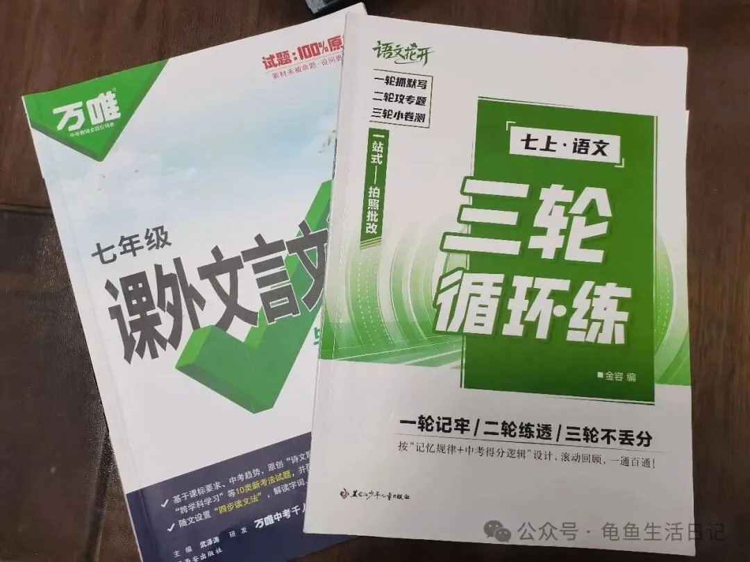 初一家长群焦虑预警,还好小升初的暑假预制了---语文篇-第7张图片-四季读书网