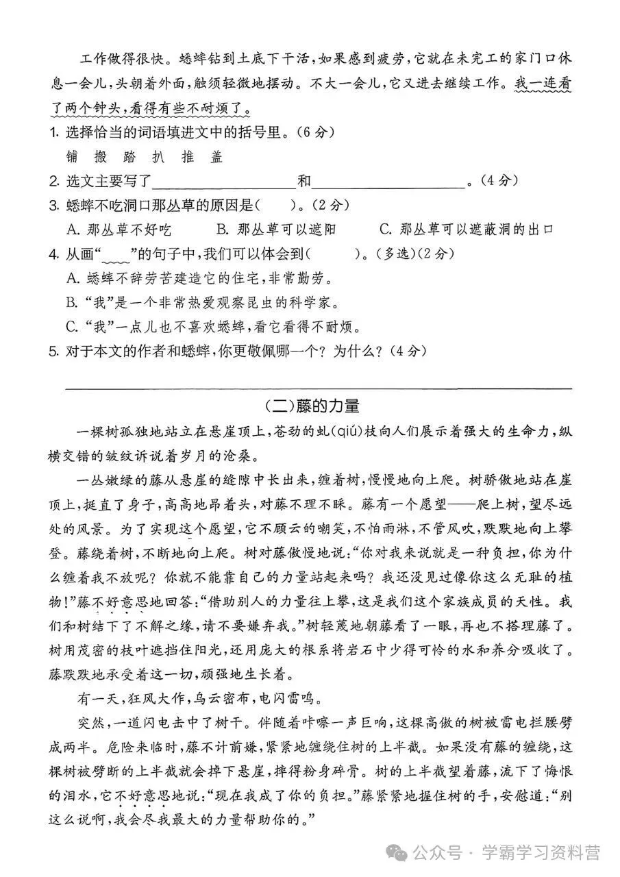26秋新版四年级上册语文《期中综合检测试卷共10套》有答案,电子版可打印-第14张图片-四季读书网