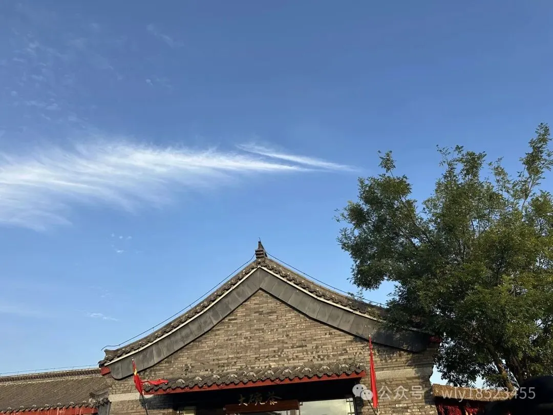 中考真题作文“填空式”写作教练:认知蜕变 (学写作 练表达 析写法 背素材)-第1张图片-四季读书网