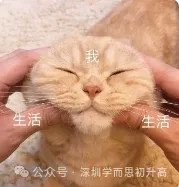 2027,深圳中考会有多少人?-第2张图片-四季读书网 2027,深圳中考会有多少人?-第2张图片-四季读书网