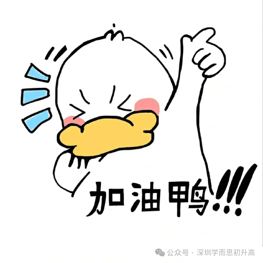 2027,深圳中考会有多少人?-第3张图片-四季读书网 2027,深圳中考会有多少人?-第3张图片-四季读书网