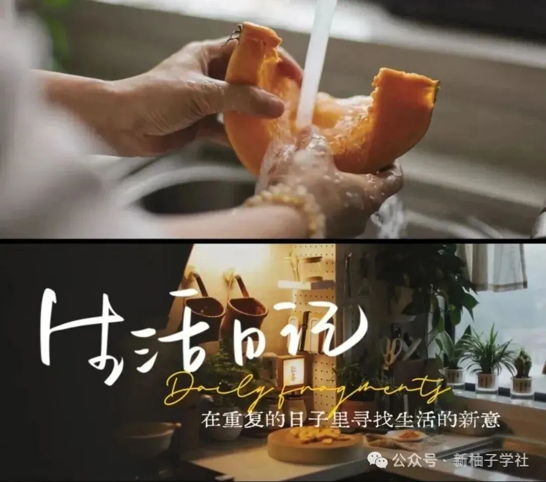 长郡初三期中作文解析与佳作示范-第39张图片-四季读书网