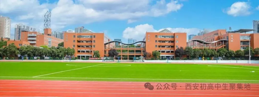 写给初三家长:三所高中介绍-第1张图片-四季读书网