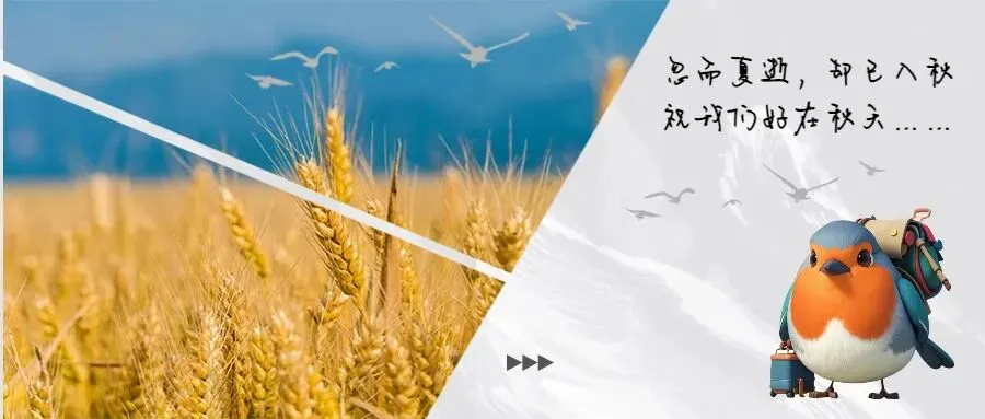 新疆旅游全年攻略 | 去新疆到底几月最好?这篇按 12 个月给你排明白了|按时间 · 区域 · 美景 三维组织的完全指南
