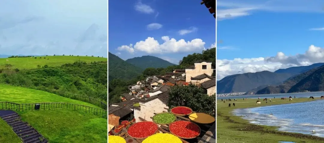 适合女生独自散心旅行的4个城市,不用做攻略,累了就去小住几天!