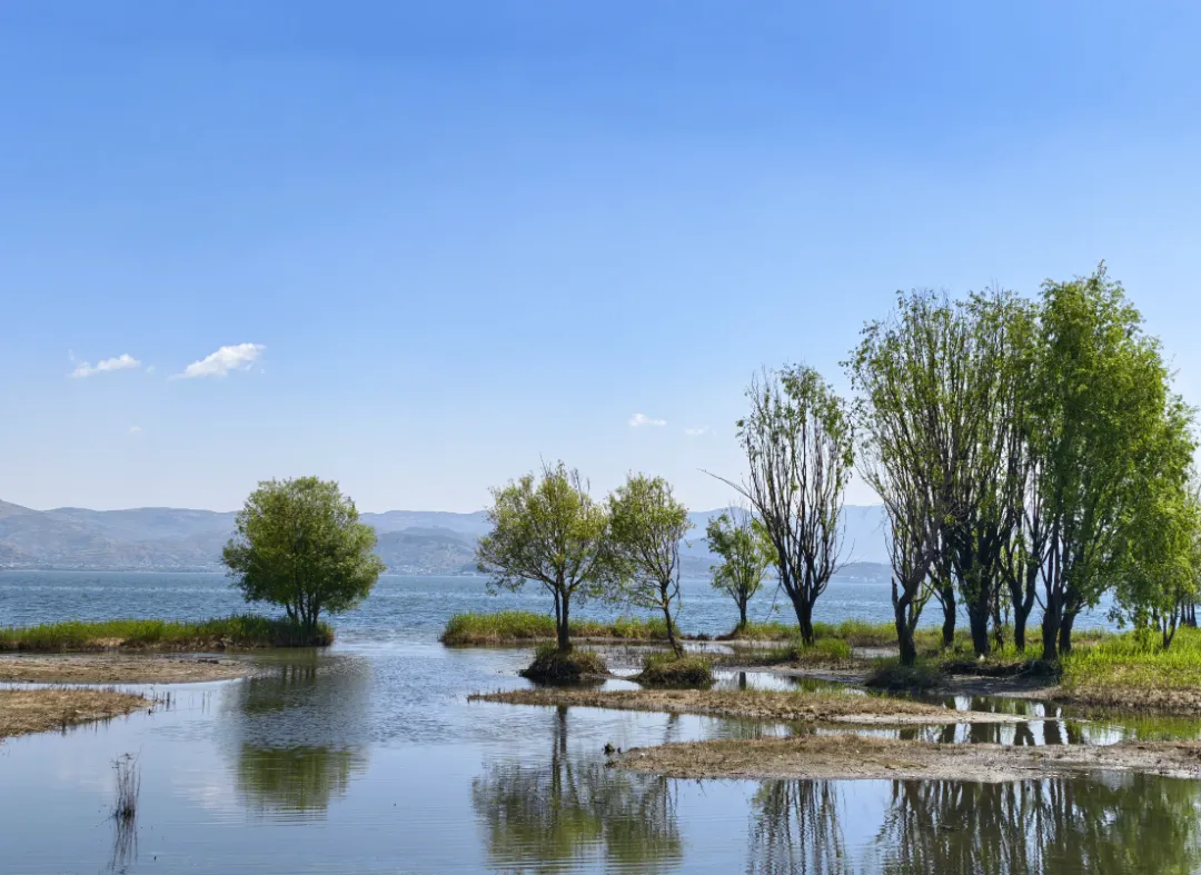 云南旅游攻略分享——苍山洱海,丽江古城