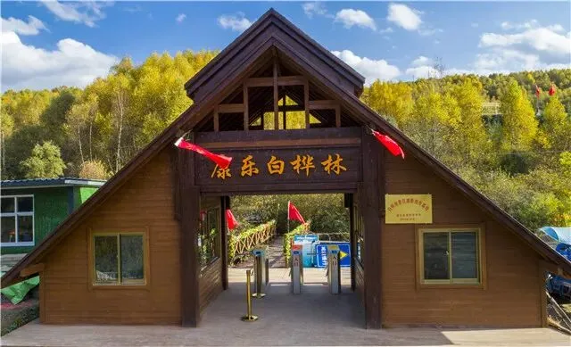 康乐白桦林景区旅游攻略