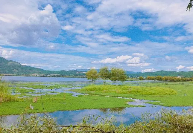 丽江拉市海旅游全攻略,含交通指南、收费情况、游玩路线和景点介绍等
