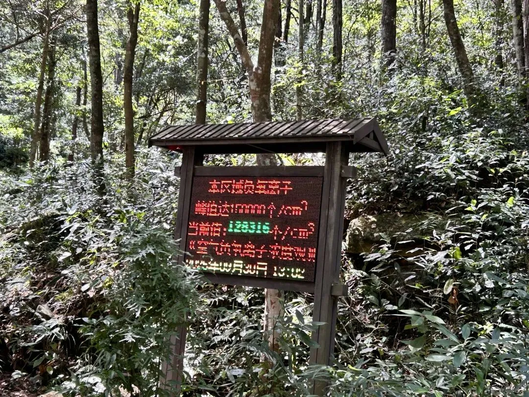 广府自驾|贺州姑婆山超全周末旅游攻略