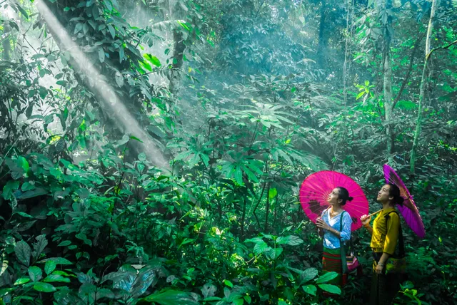 西双版纳深度攻略:古寨、雨林与在地手艺的慢旅行指南