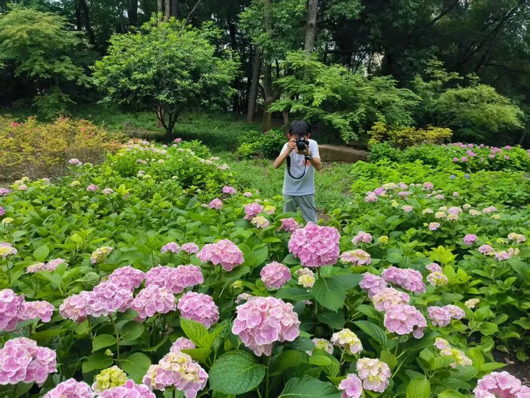 普通家庭高质量旅游指南
