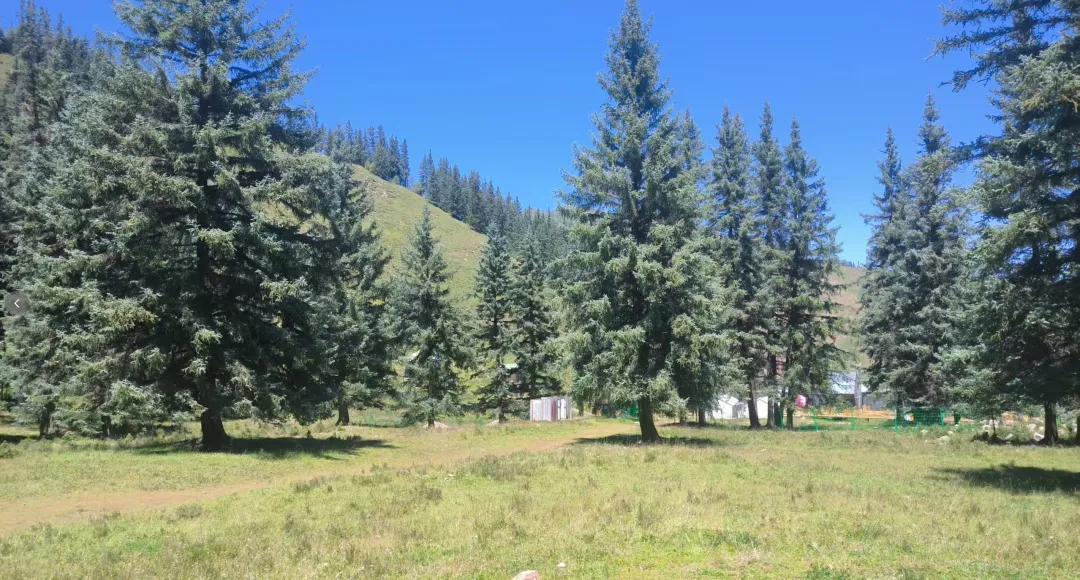 成都亲子旅行11|(下篇)6天5晚青甘小环线,打卡5大西北秘境,带娃读懂山河辽阔,附5大感悟6大避坑