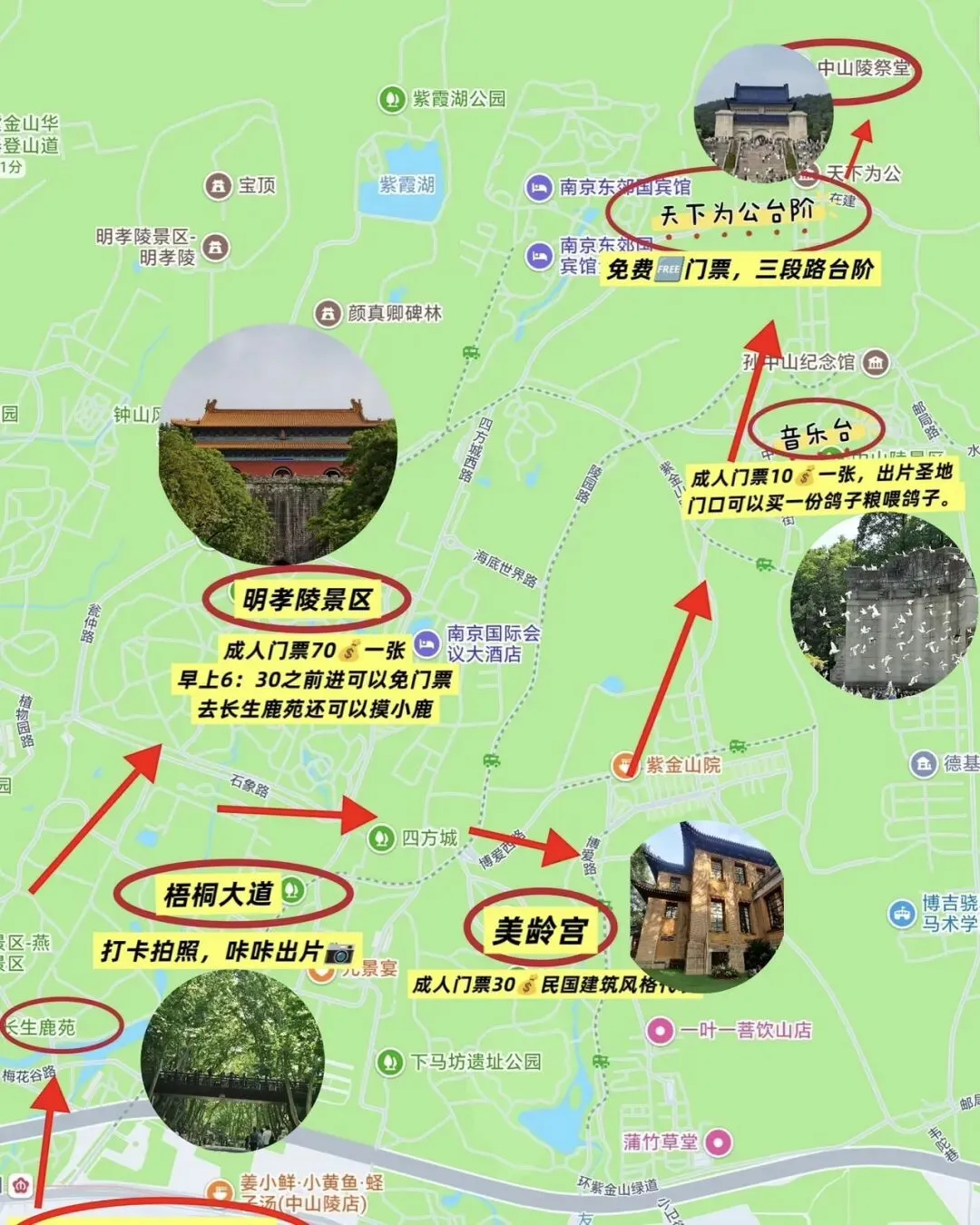 南京旅游攻略之钟山风景区