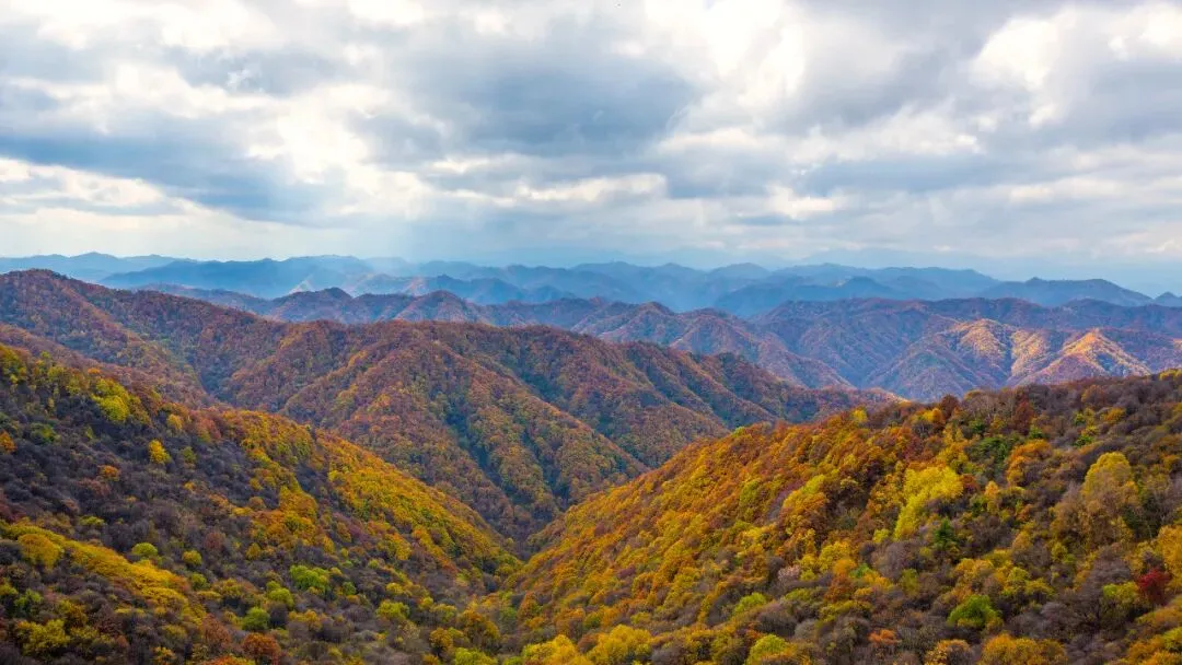 关山草原懒人攻略|解锁初秋草原满分旅行