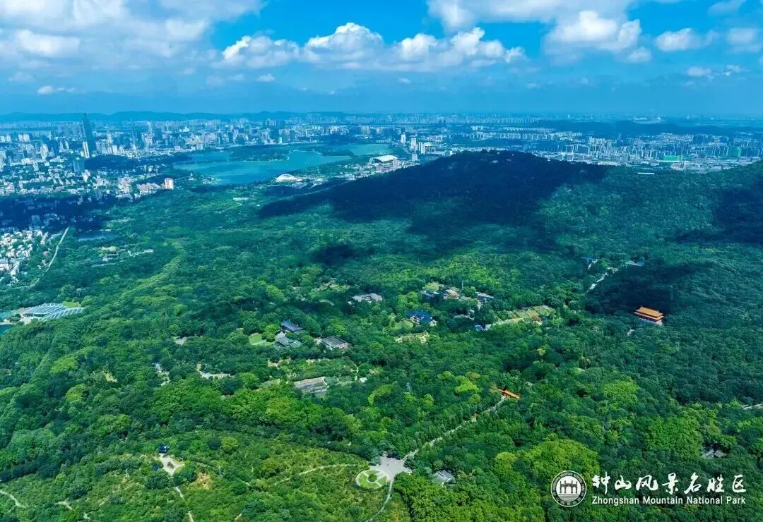 南京大学生免费游玩全攻略|一张录取通知书在南京能免费刷这些景区,多数 9/30 截止