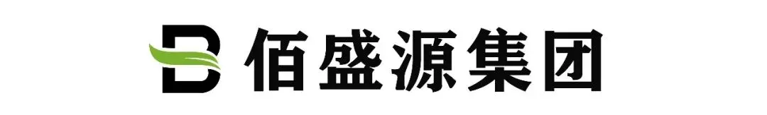 岁月正好,结伴出游|老年人舒适旅行指南