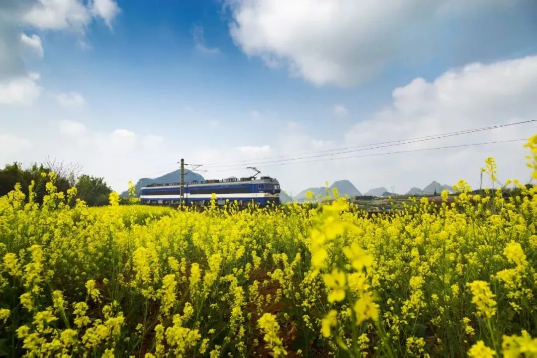 普定县旅游全攻略|21℃的文城普定,藏着一份360度的旅行答案