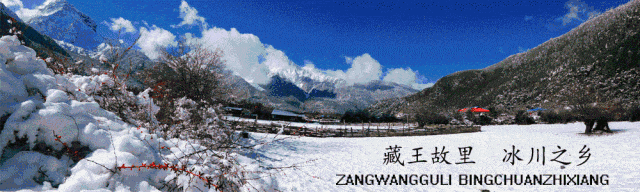 关于公开比选波密县桃花沟旅游基础设施建设项目服务公司的公告
