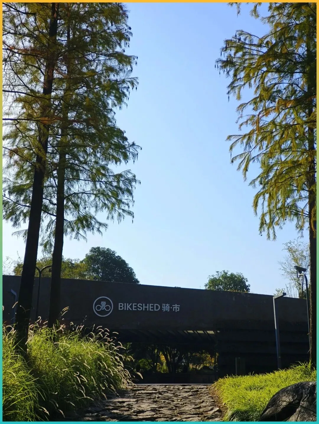 秋日必推!江浙沪自驾游终极福利!90公里看遍古村、高山风车、云海,太绝了!