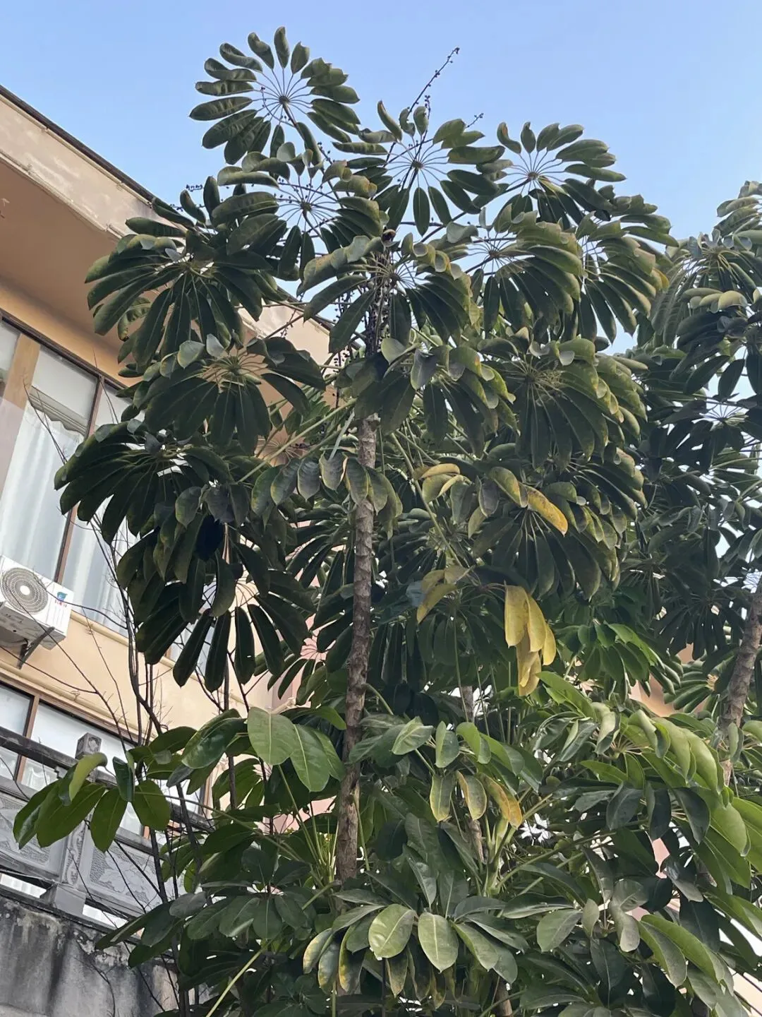 【自驾游】【博物馆】临沧考古博物馆 中途住宿在蒲缥镇温泉酒店