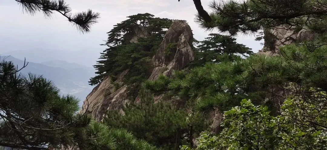 下山的路,比山顶更动人|一个人自驾游152——天堂寨(下)