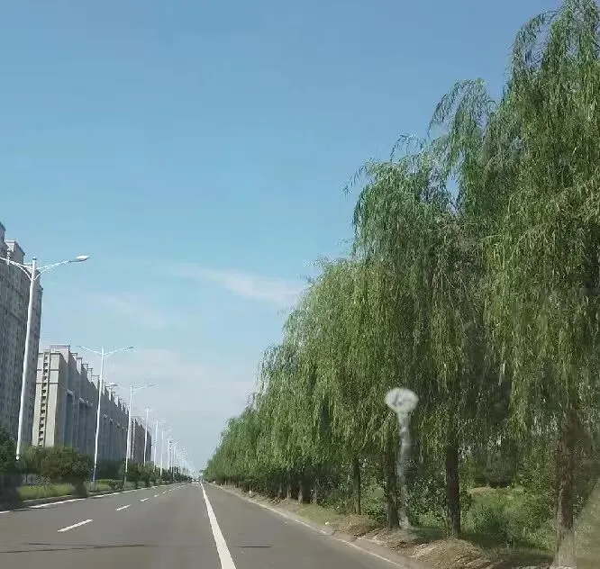 331国道及228海岸线自驾游游记(190)
