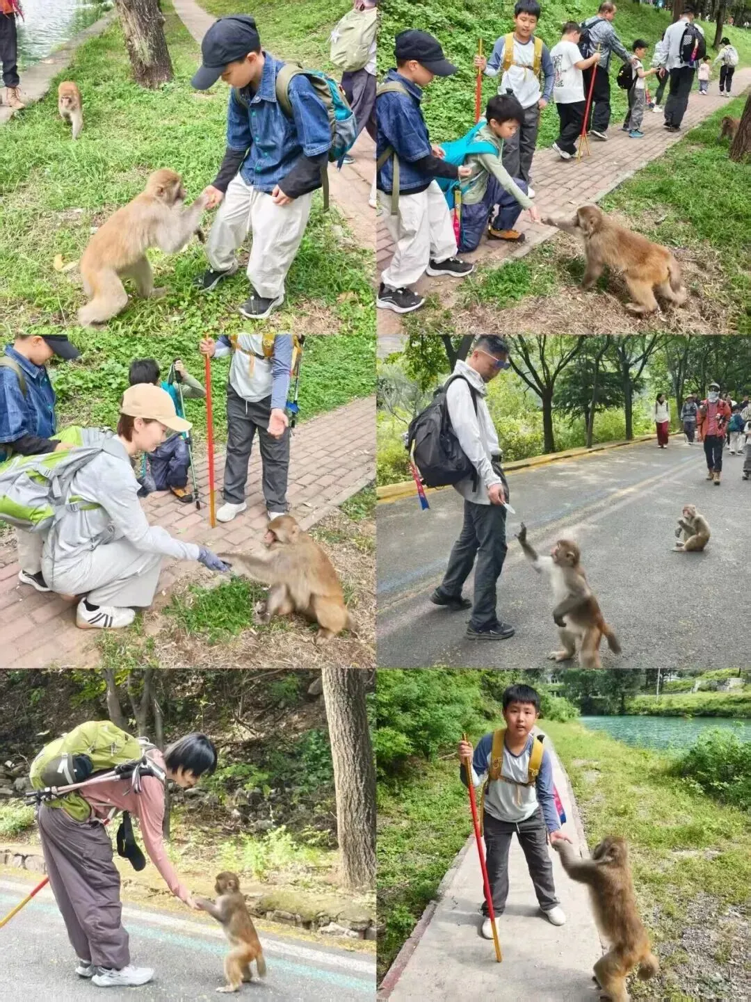 长葛鸿雁旅游•自发团 ||【亲子户外】9月26日(周六) |济源五龙口“中国猴山”-穿越金鸡岭-沁龙峡-梯形河滩草甸一日休闲徒步活动