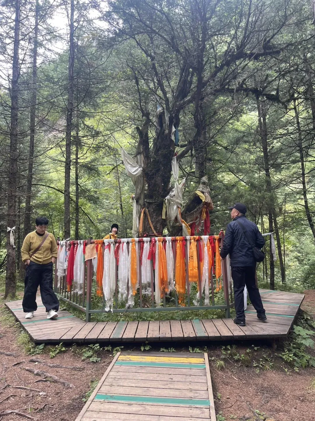 20260915甘南旅游第四天