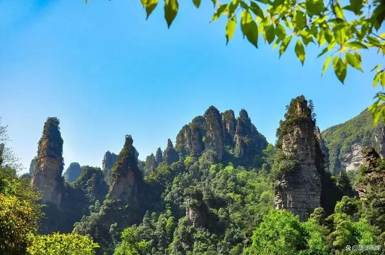 福建这7个5A级景区,去过6个就算旅游达人,你去过几个?