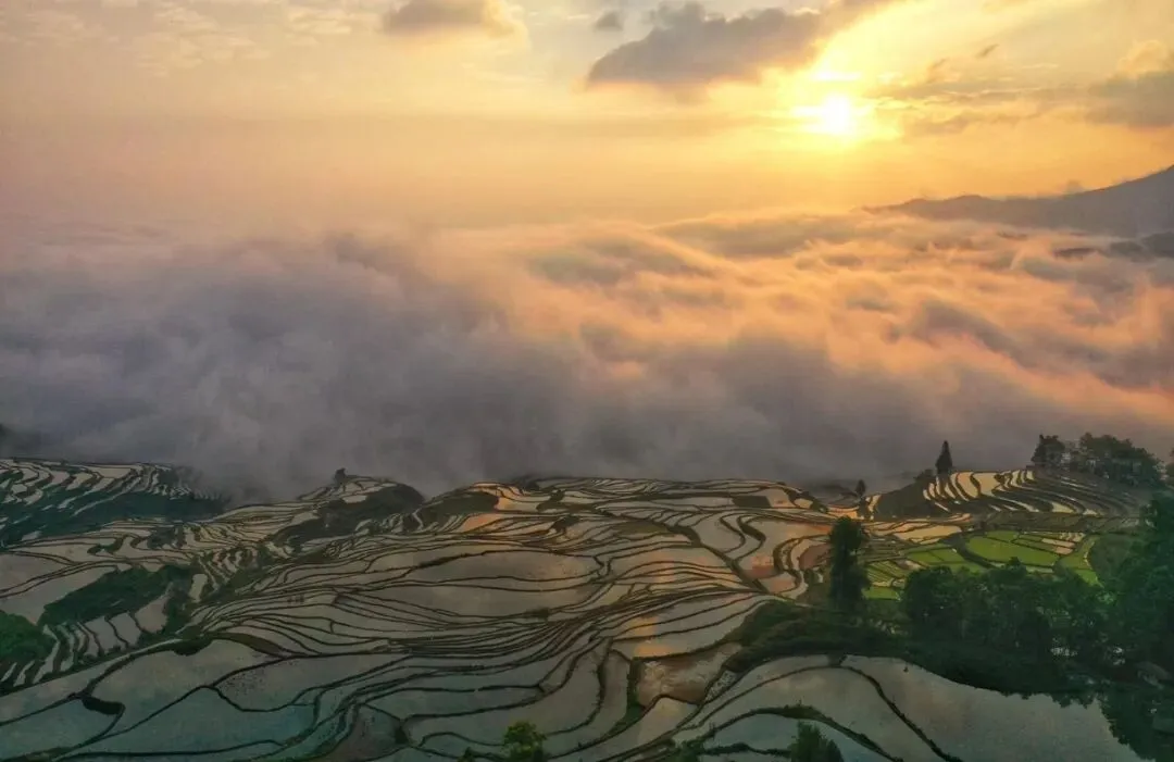 来云南旅游别只知道大理丽江,你知道云南红河州必玩景点有哪些吗?