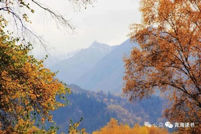 郭延环:旅游札记