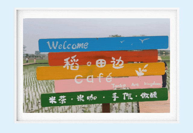 莹彩旅游9月26号沈北稻梦空间1日游